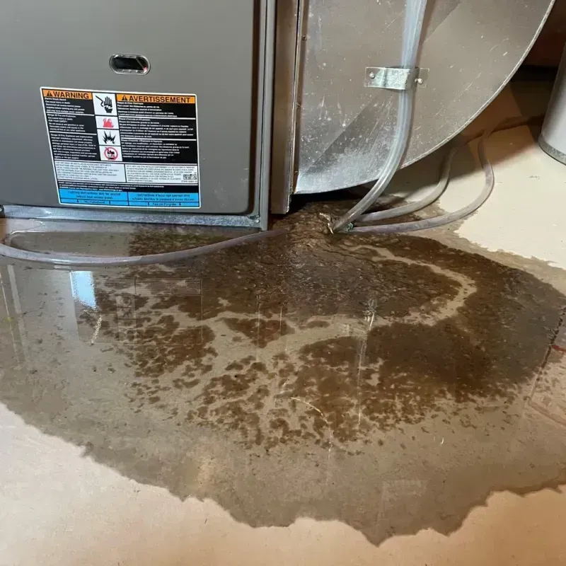 Appliance Leak Cleanup in Dishman, WA